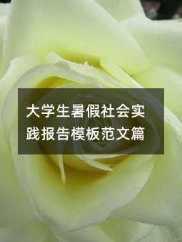 大學生暑假社會實踐報告模板范文篇
