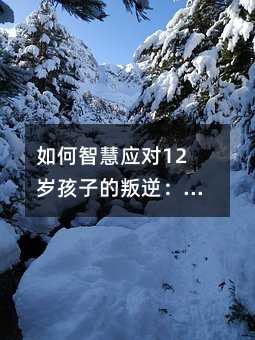 ����ǻۑ�(y��ng)��(du��)12�q���ӵ����棺���⡢����c����(d��o)��ˇ�g(sh��)