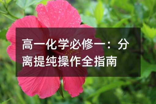 高一化學必修一:分離提純操作全指南