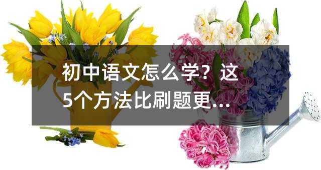 初中語文怎么學?這5個方法比刷題更管用