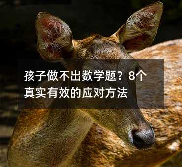 �������������W�}��8���挍��Ч�đ�������