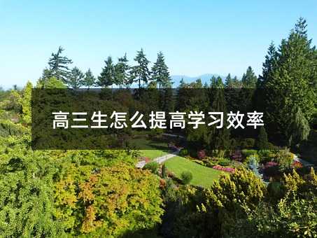 ��������ô��ߌW(xu��)��(x��)Ч��