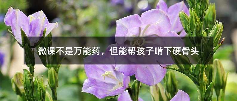 ΢�n�����f��ˎ�����܎ͺ��ӿ���Ӳ���^