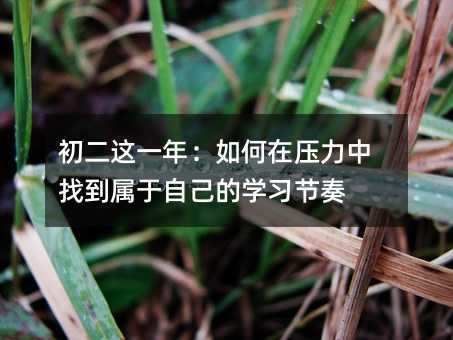 初二這一年:如何在壓力中找到屬于自己的學習節奏