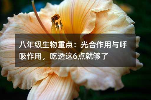 ���꼉�������c����������c������������͸�@6�c�͉���