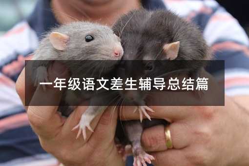 一年級語文差生輔導總結篇