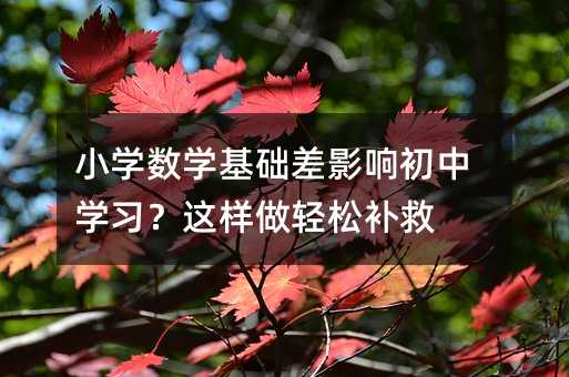 С�W���W���A��Ӱ푳��ЌW�����@�����p���a��