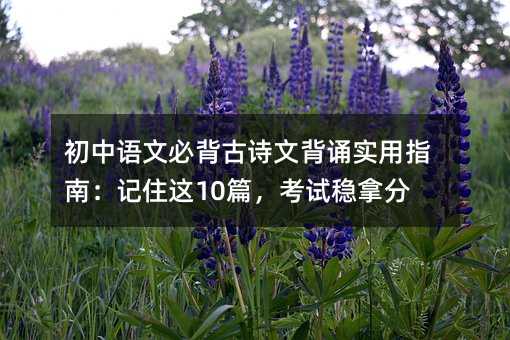 �����Z�ıر���Ԋ�ı��b����ָ�ϣ�ӛס�@10ƪ����ԇ��(w��n)�÷�