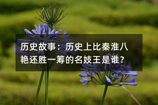 歷史故事:歷史上比秦淮八艷還勝一籌的名妓王是誰?