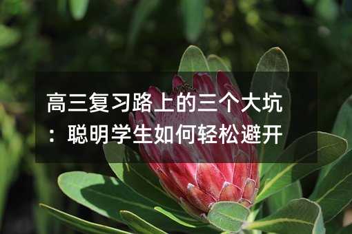 高三復(fù)習(xí)路上的三個大坑:聰明學(xué)生如何輕松避開