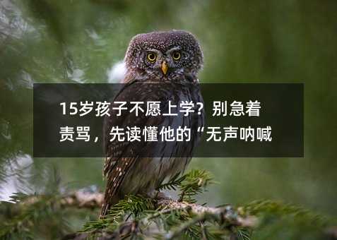 15�q���Ӳ�Ը�όW���e����؟�R�����x�����ġ��o�Ⱥ���