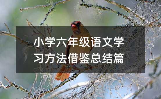 С�W���꼉�Z�ČW���������b���Yƪ