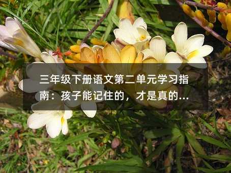 ���꼉���Z�ĵڶ���Ԫ�W��ָ�ϣ�������ӛס�ģ�������ČW��