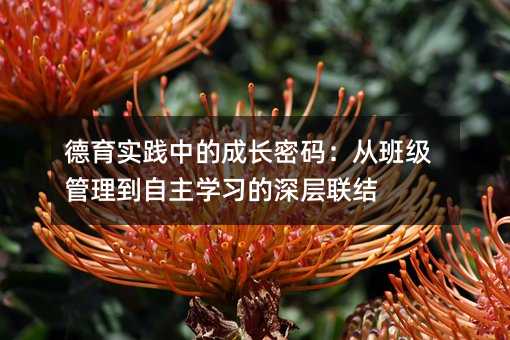 德育實(shí)踐中的成長(zhǎng)密碼:從班級(jí)管理到自主學(xué)習(xí)的深層聯(lián)結(jié)