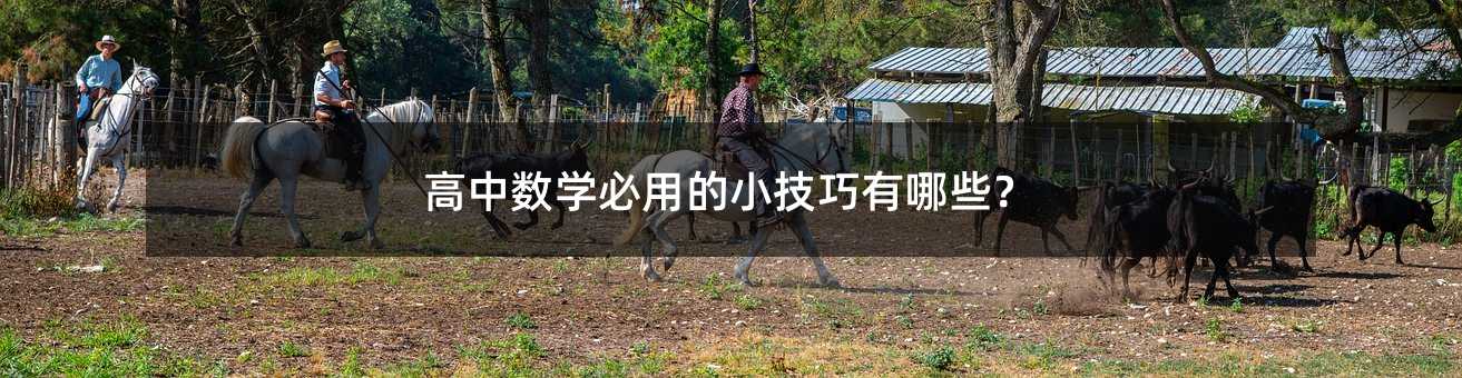 高中數學必用的小技巧有哪些?