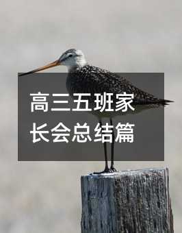 高三五班家長會總結篇