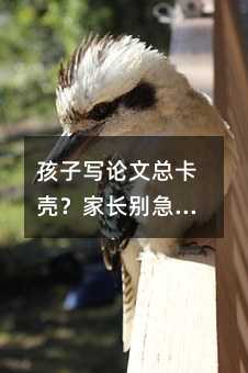 孩子寫論文總卡殼?家長別急,這8個詞能幫上大忙