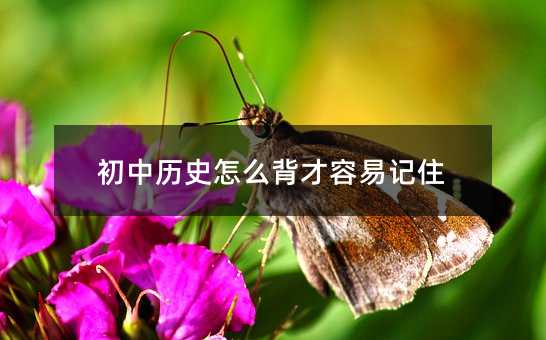 初中歷史怎么背才容易記住