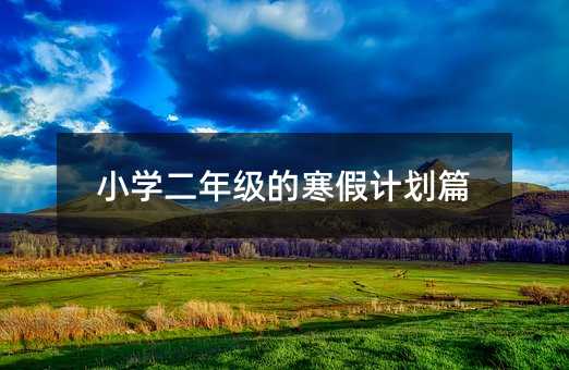 小學(xué)二年級的寒假計(jì)劃篇