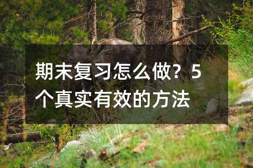 期末復習怎么做?5個真實有效的方法