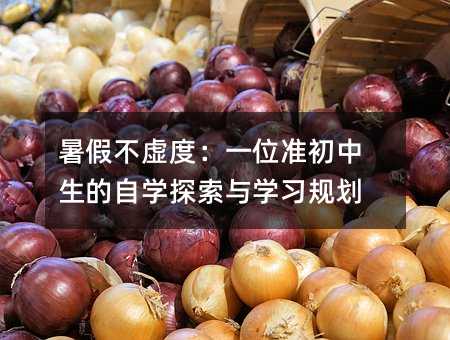 暑假不虛度:一位準(zhǔn)初中生的自學(xué)探索與學(xué)習(xí)規(guī)劃