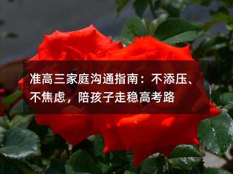 �ʸ�����ͥ��ָͨ�ϣ����퉺�������]���㺢���߷��߿�·