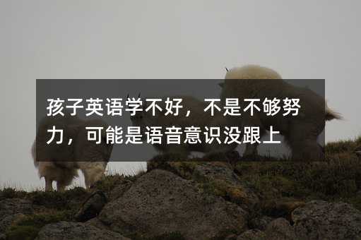 ����Ӣ�Z(y��)�W(xu��)���ã����ǲ���Ŭ�����������Z(y��)�����R(sh��)�](m��i)����