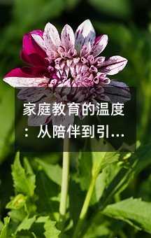 ��ͥ�����Ĝضȣ�����鵽�������ճ����`