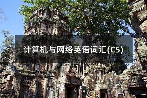 計算機與網絡英語詞匯(C5)