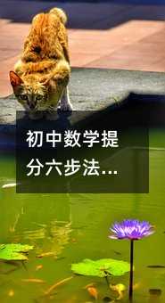 初中數學提分六步法:不靠刷題,靠方法