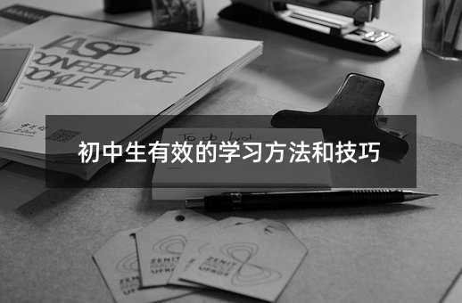初中生有效的學(xué)習(xí)方法和技巧