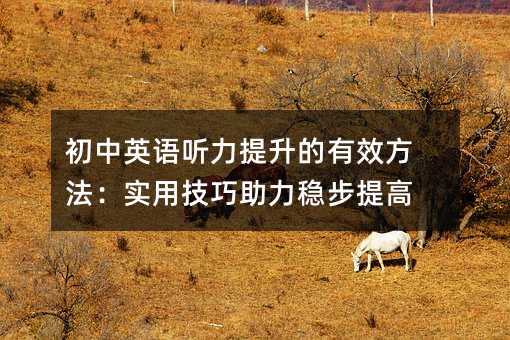 初中英語(yǔ)聽(tīng)力提升的有效方法:實(shí)用技巧助力穩(wěn)步提高