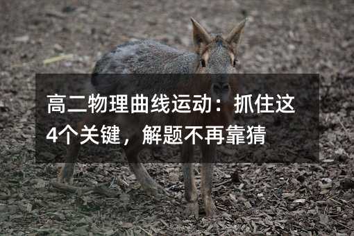 高二物理曲線運動:抓住這4個關鍵,解題不再靠猜