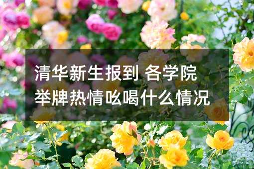 ���A������(b��o)�� ���W(xu��)Ժ�e�Ɵ���ߺ��ʲô��r