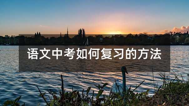 語文中考如何復(fù)習(xí)的方法