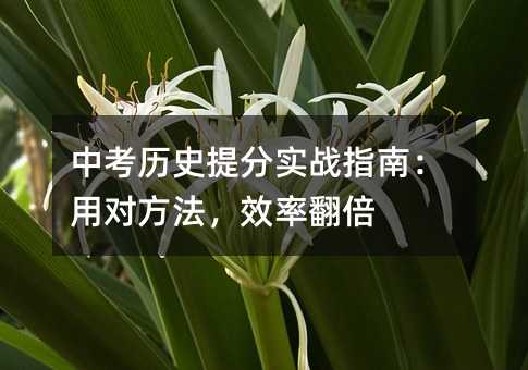 �п��vʷ��֌���ָ�ϣ��Ì�������Ч�ʷ���