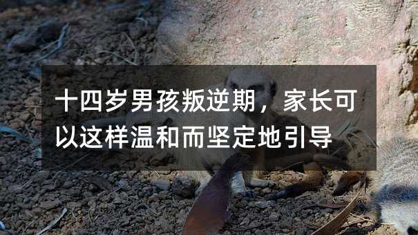 十四歲男孩叛逆期,家長可以這樣溫和而堅定地引導