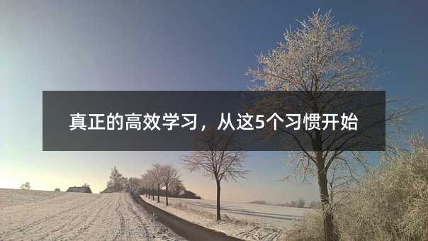 真正的高效學習,從這5個習慣開始