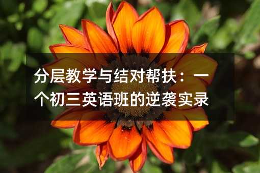 分層教學與結對幫扶:一個初三英語班的逆襲實錄