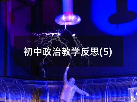 初中政治教學反思(5)