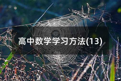 高中數(shù)學(xué)學(xué)習(xí)方法(13)