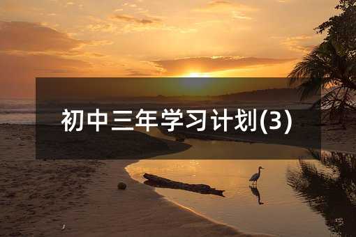 初中三年學(xué)習(xí)計(jì)劃(3)