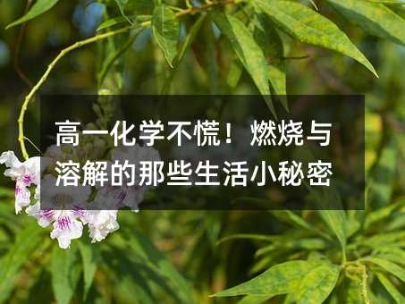 ��һ���W������ȼ���c�ܽ����Щ����С����