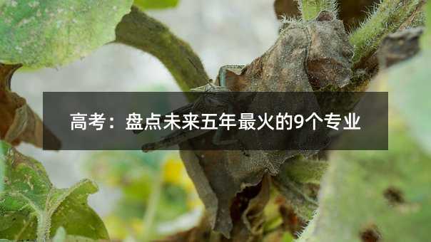 高考:盤點未來五年最火的9個專業
