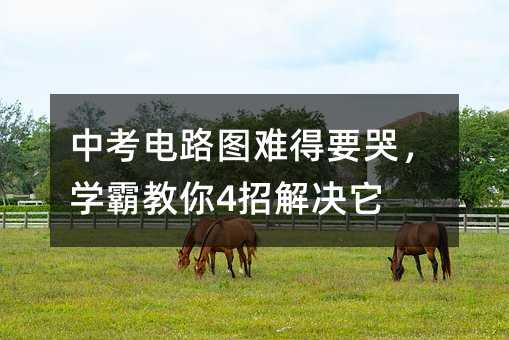 中考電路圖難得要哭,學霸教你4招解決它