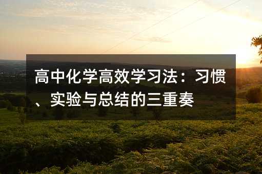 高中化學(xué)高效學(xué)習(xí)法:習(xí)慣、實(shí)驗(yàn)與總結(jié)的三重奏