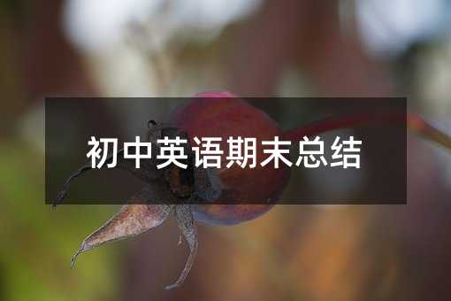 ����Ӣ�Z��ĩ���Y