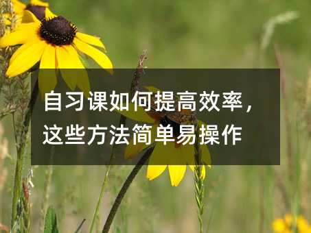 �����n������Ч�����@Щ���������ײ���