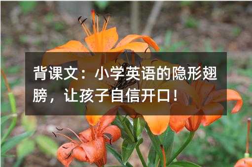 ���n�ģ�С�WӢ�Z���[�γ��׌���������_�ڣ�