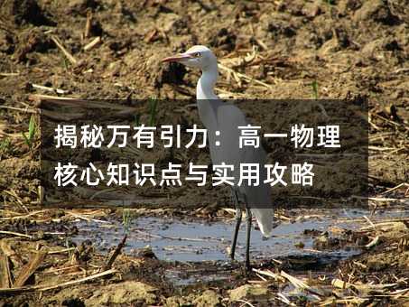 揭秘萬有引力:高一物理核心知識點與實用攻略